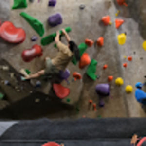 Meet your Posher, Harvey john